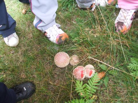 img025.jpg