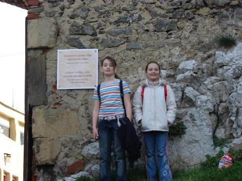 img005.jpg