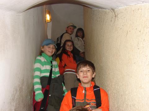 img013.jpg