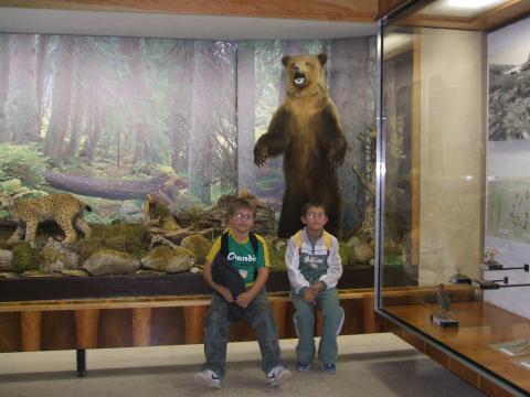 img044.jpg