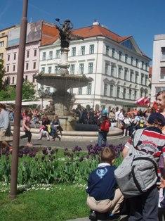 img004.jpg
